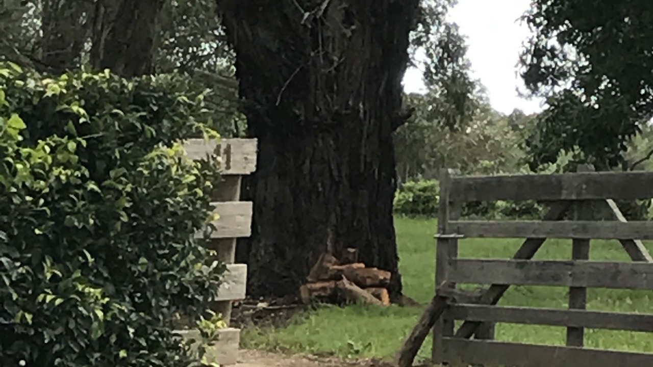 Photo of Outdoor in Merricks