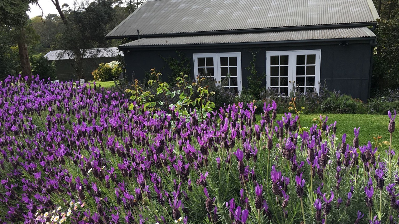 Photo of Outdoor in Merricks