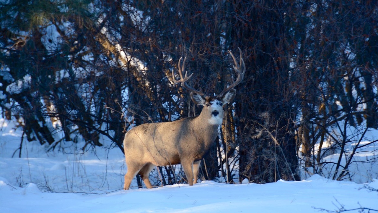 Photo of Others in Purgatory