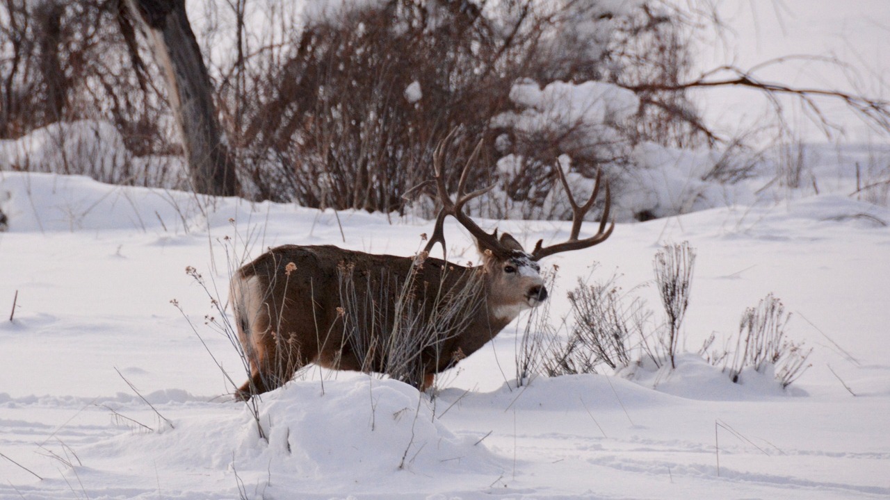 Photo of Others in Purgatory