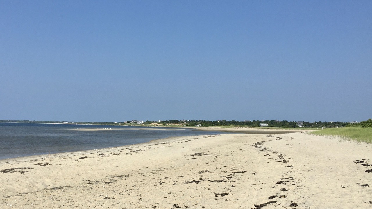 Photo of Others in Shawkemo