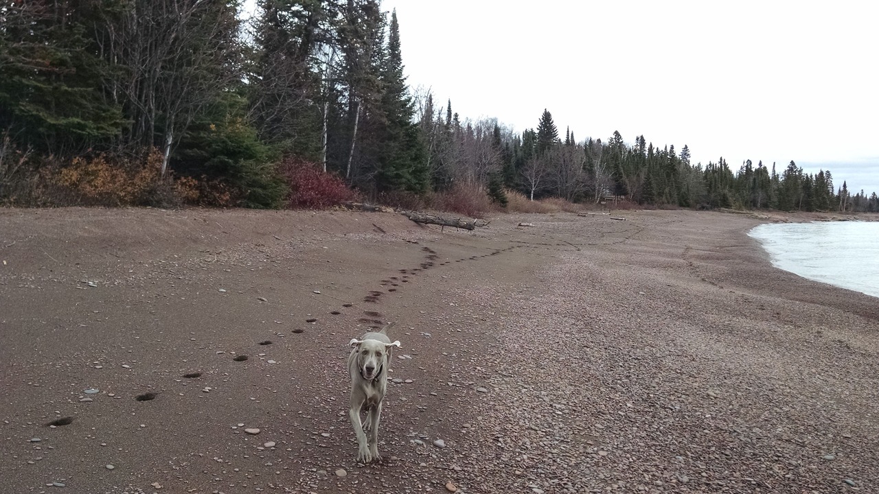 Photo of Others in Grand Marais