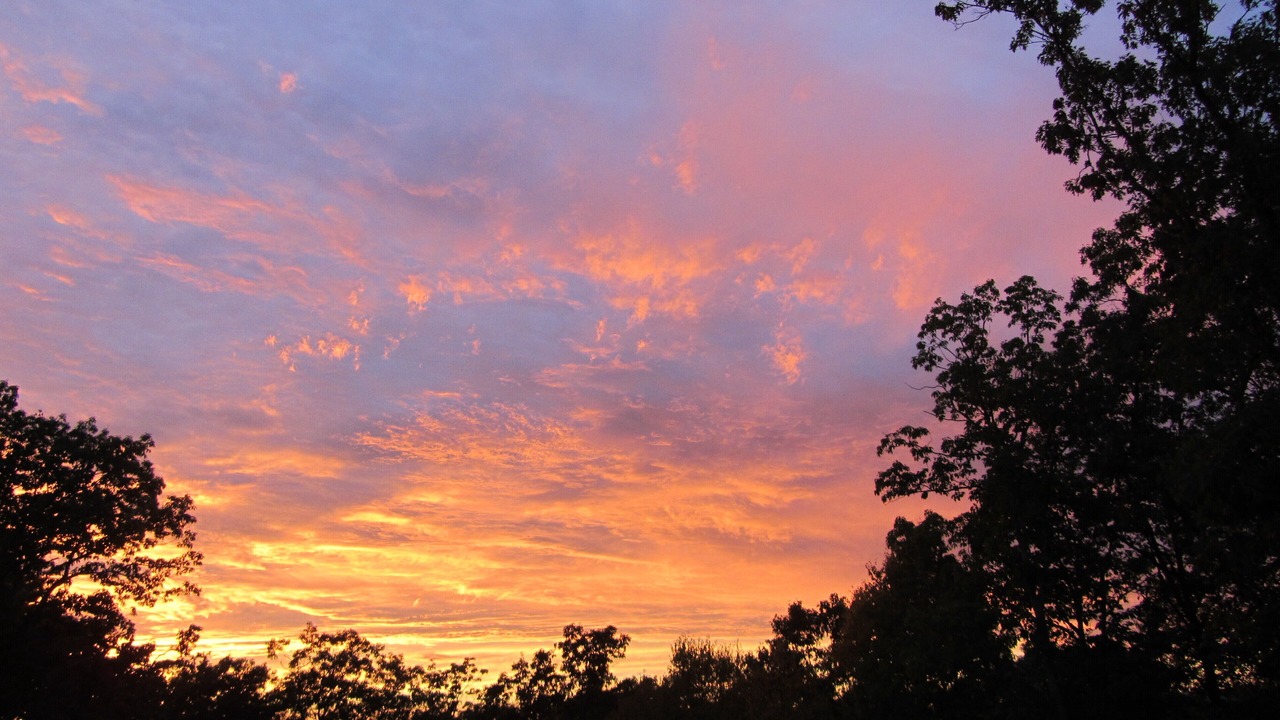 Photo of Others in Montague