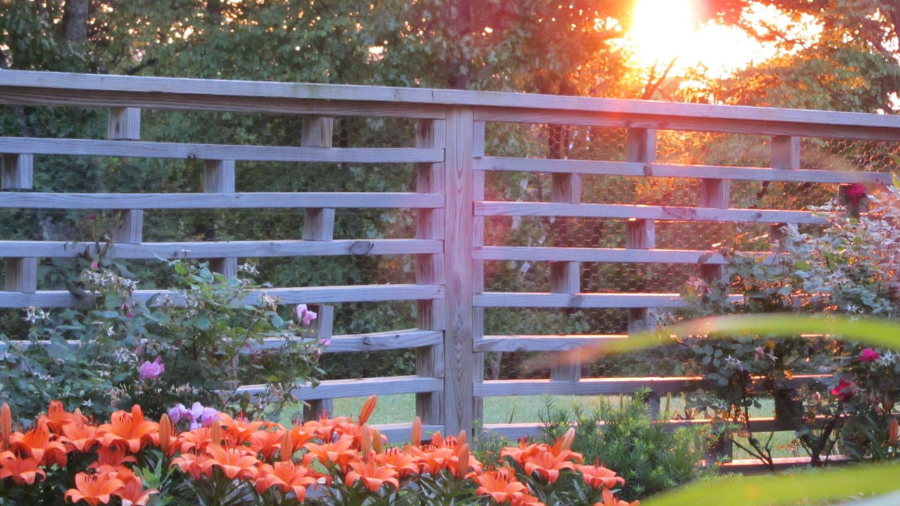 Photo of Outdoor in Montague