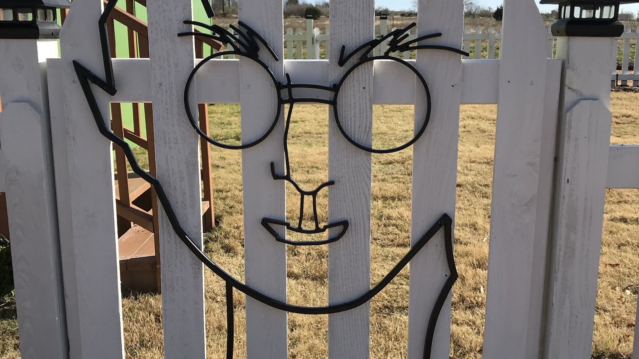 Photo of Outdoor in Buda