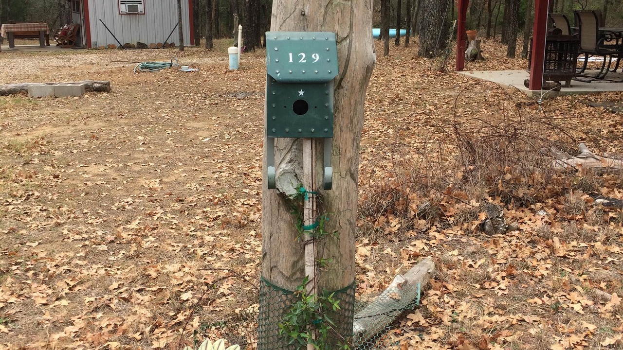 Photo of Outdoor in Hillsboro