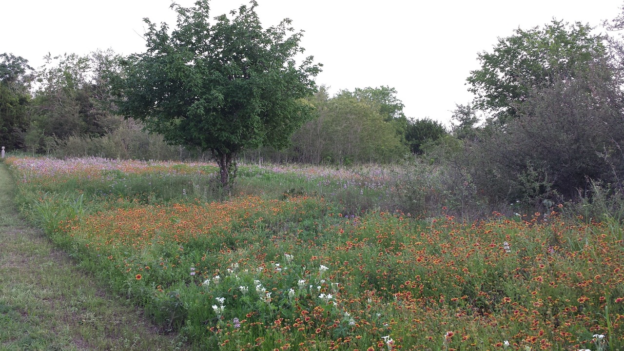 Photo of Outdoor in Hillsboro