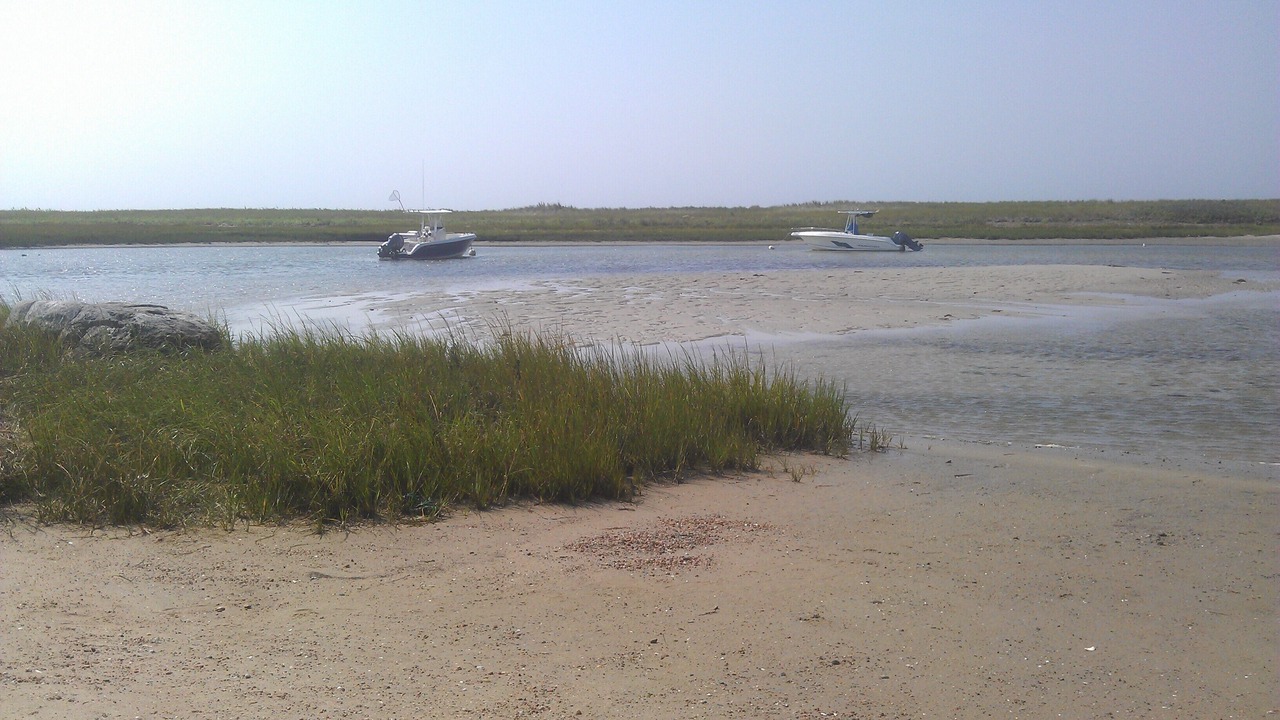 Photo of Others in West Hyannisport