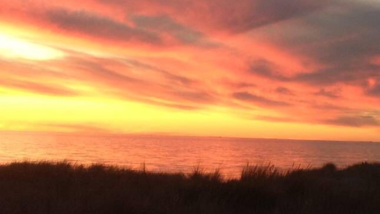 Photo of Others in Semaphore