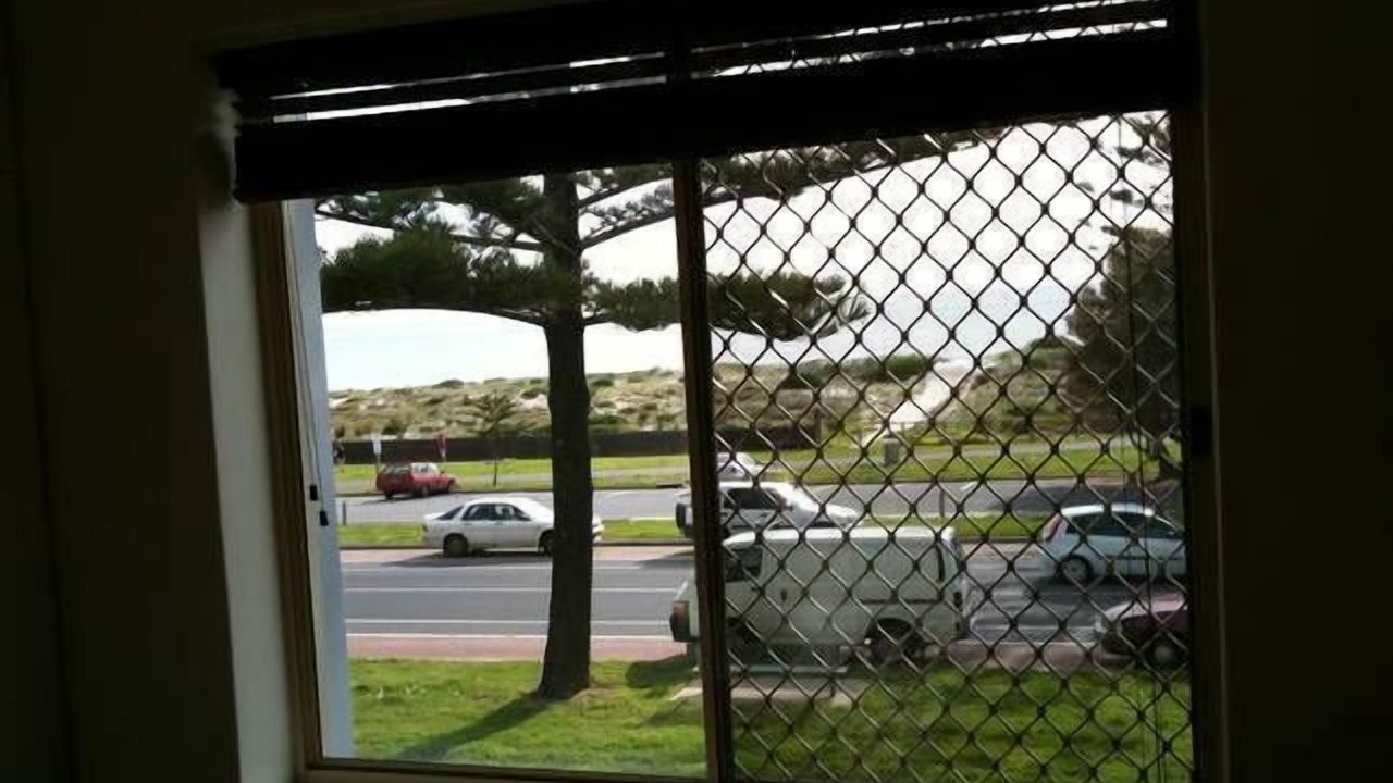 Photo of Others in Semaphore