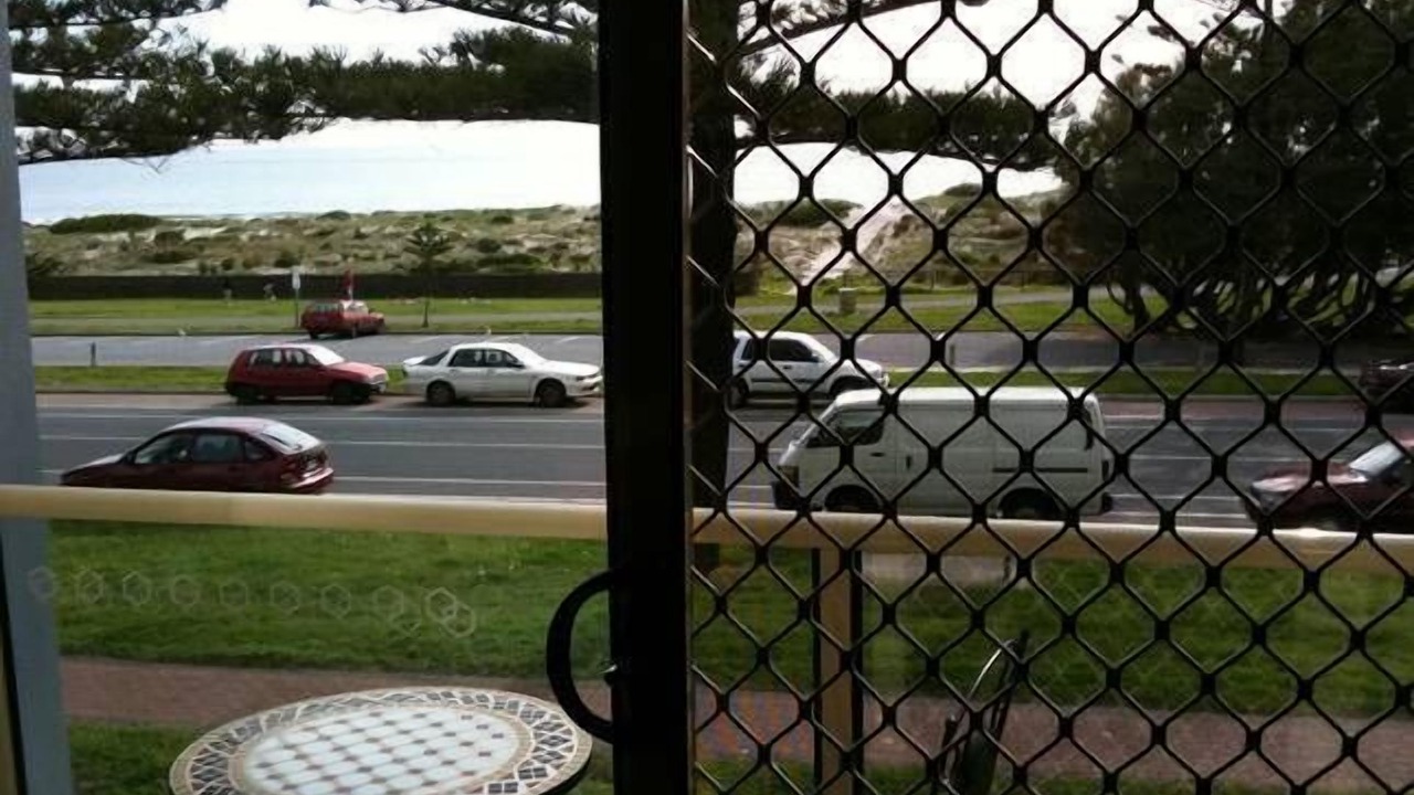 Photo of Others in Semaphore