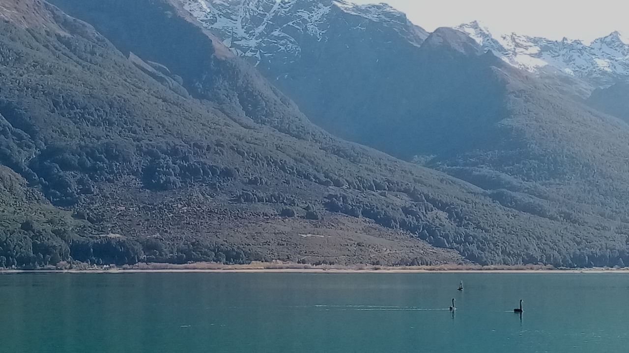 Photo of Others in Glenorchy