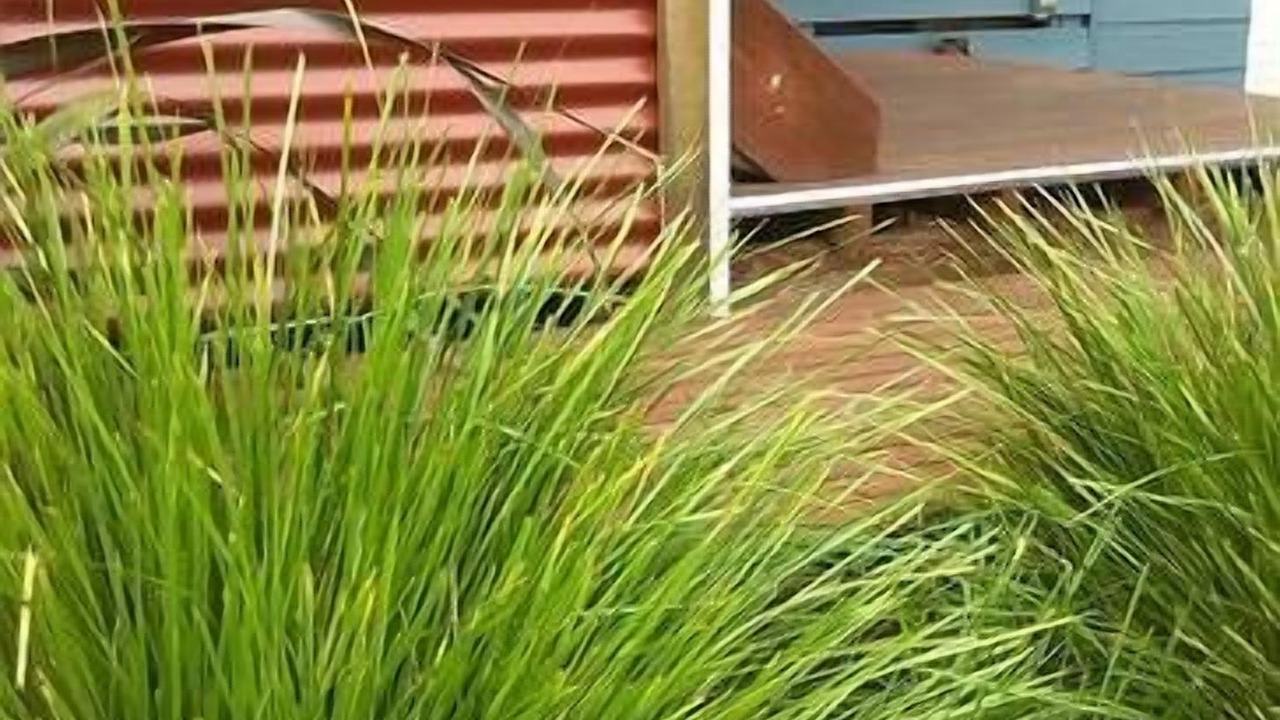 Photo of Outdoor in Lake Tyers Beach