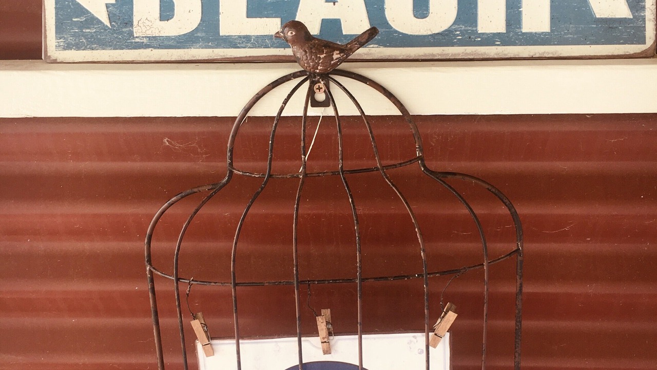 Photo of Others in Lake Tyers Beach