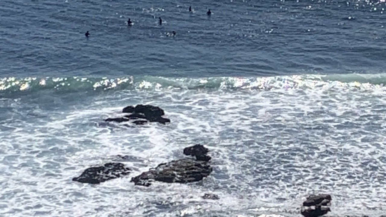 Photo of Others in Playas de Rosarito
