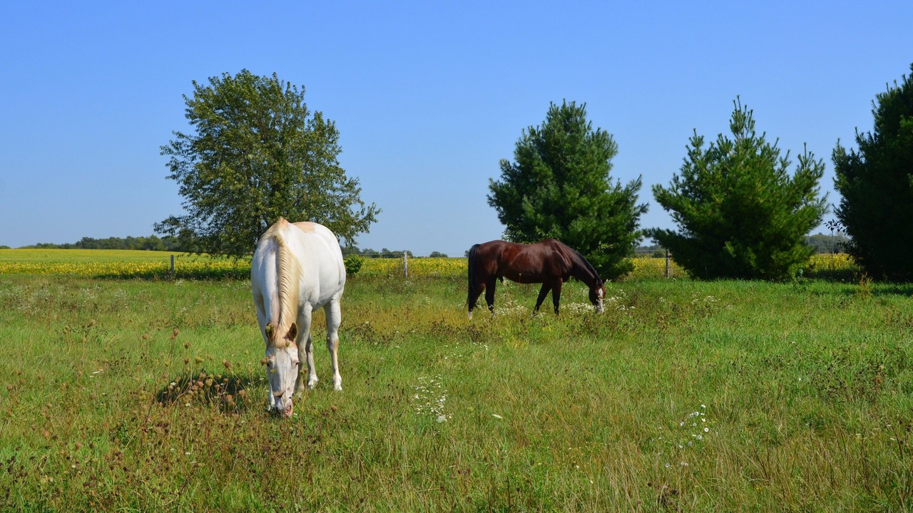 Photo of Outdoor in Afton