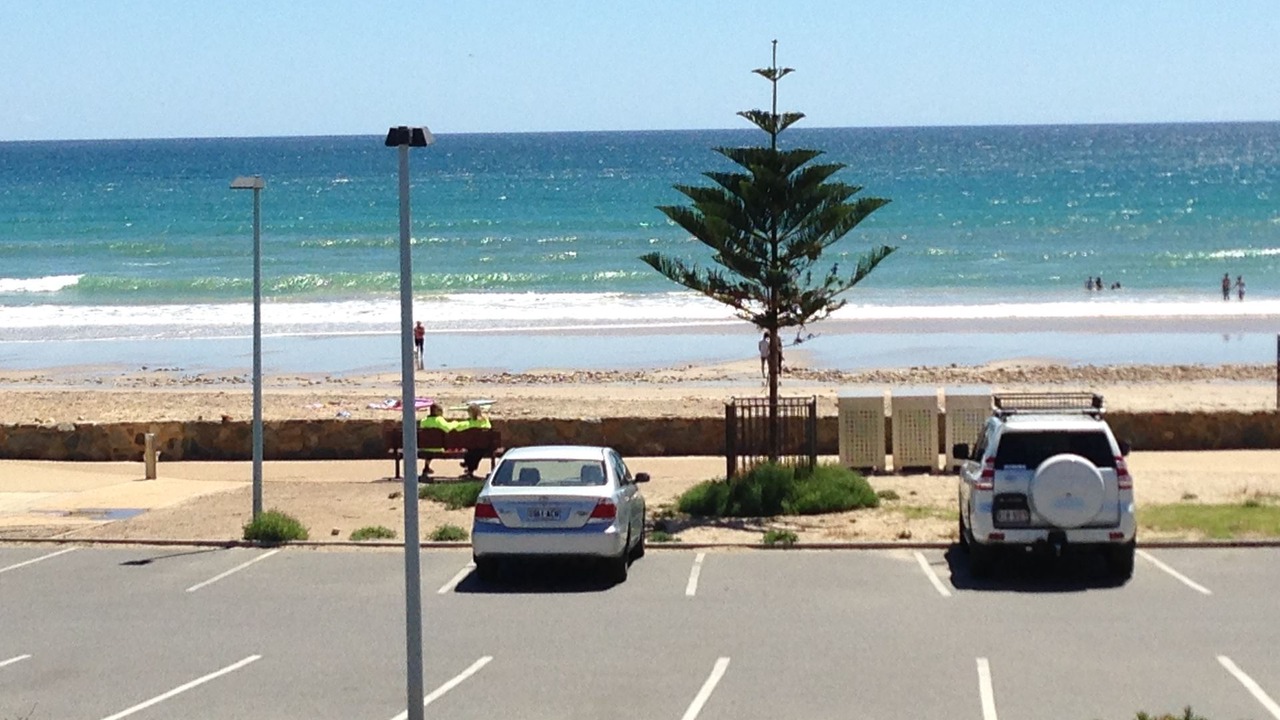 Photo of Others in Moana