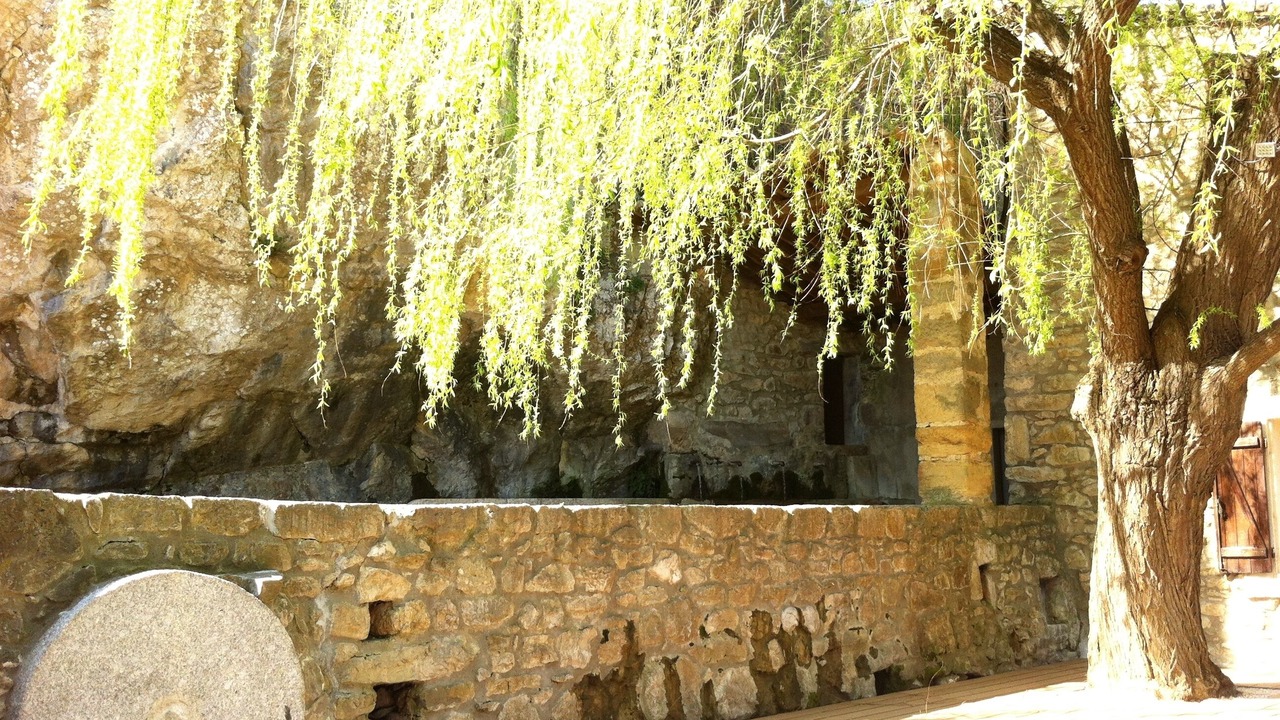 Photo of Outdoor in Duilhac-sous-Peyrepertuse