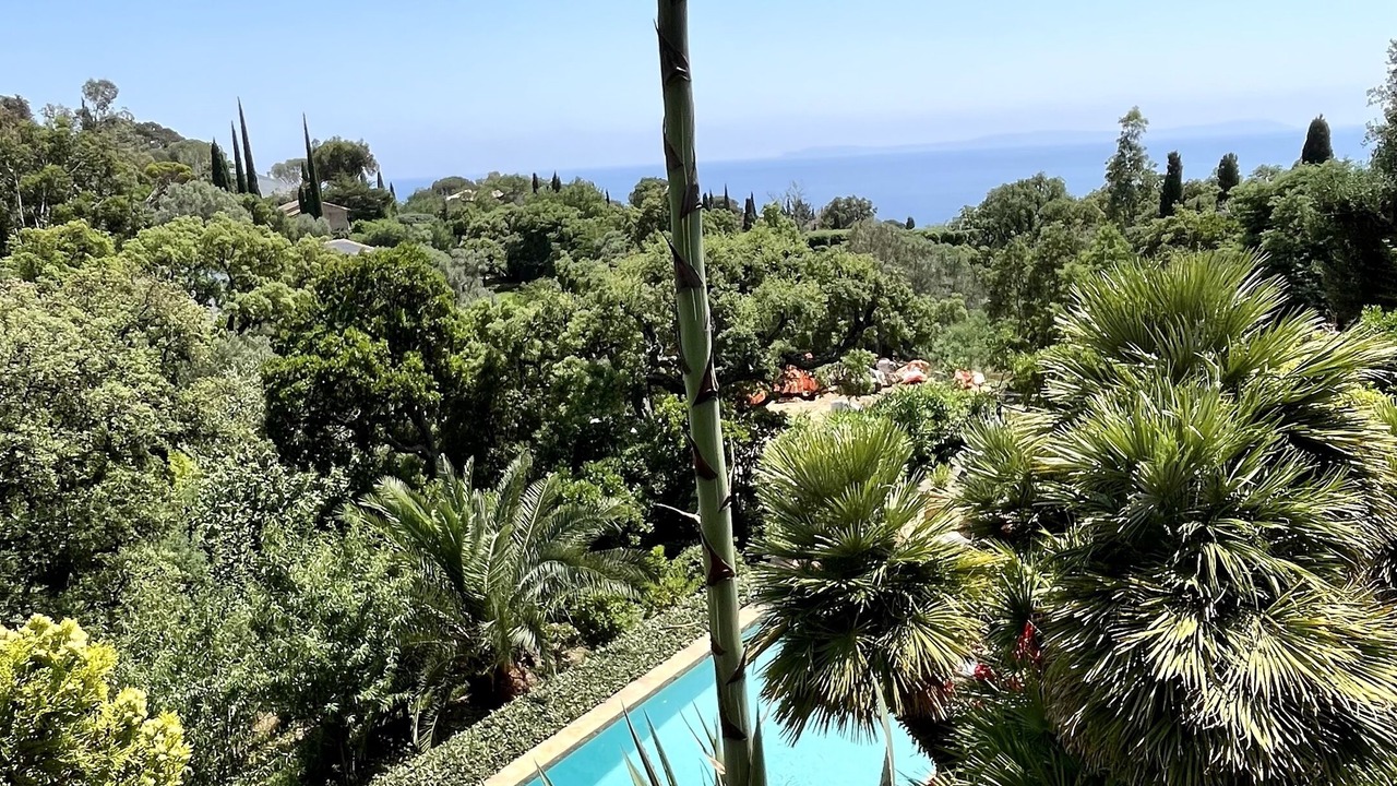 Photo of Outdoor in Le Rayol