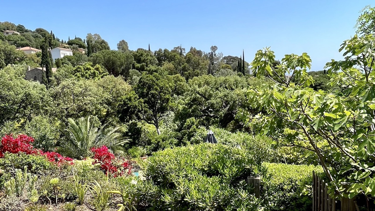 Photo of Outdoor in Le Rayol