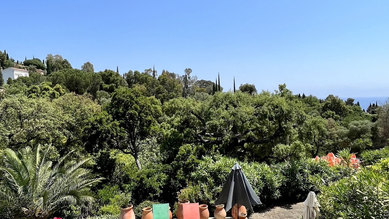 Photo of Patio Balcony in Le Rayol
