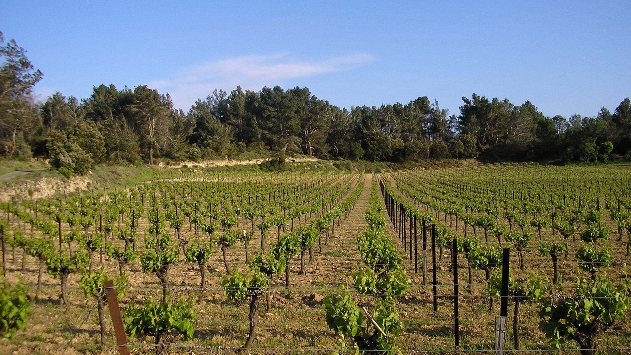 Photo of Outdoor in Marcorignan