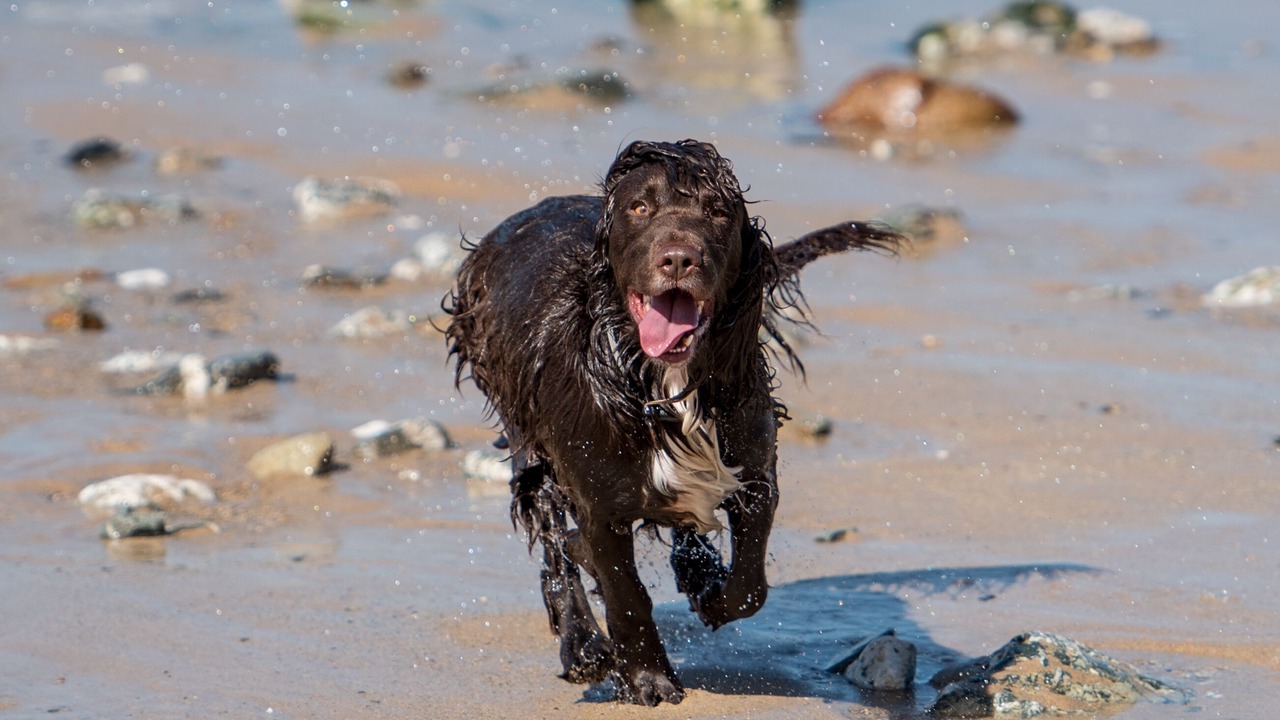 Photo of Others in St Brides