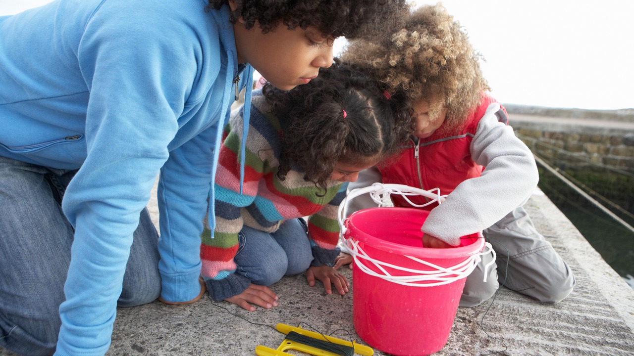 Photo of Others in St Brides