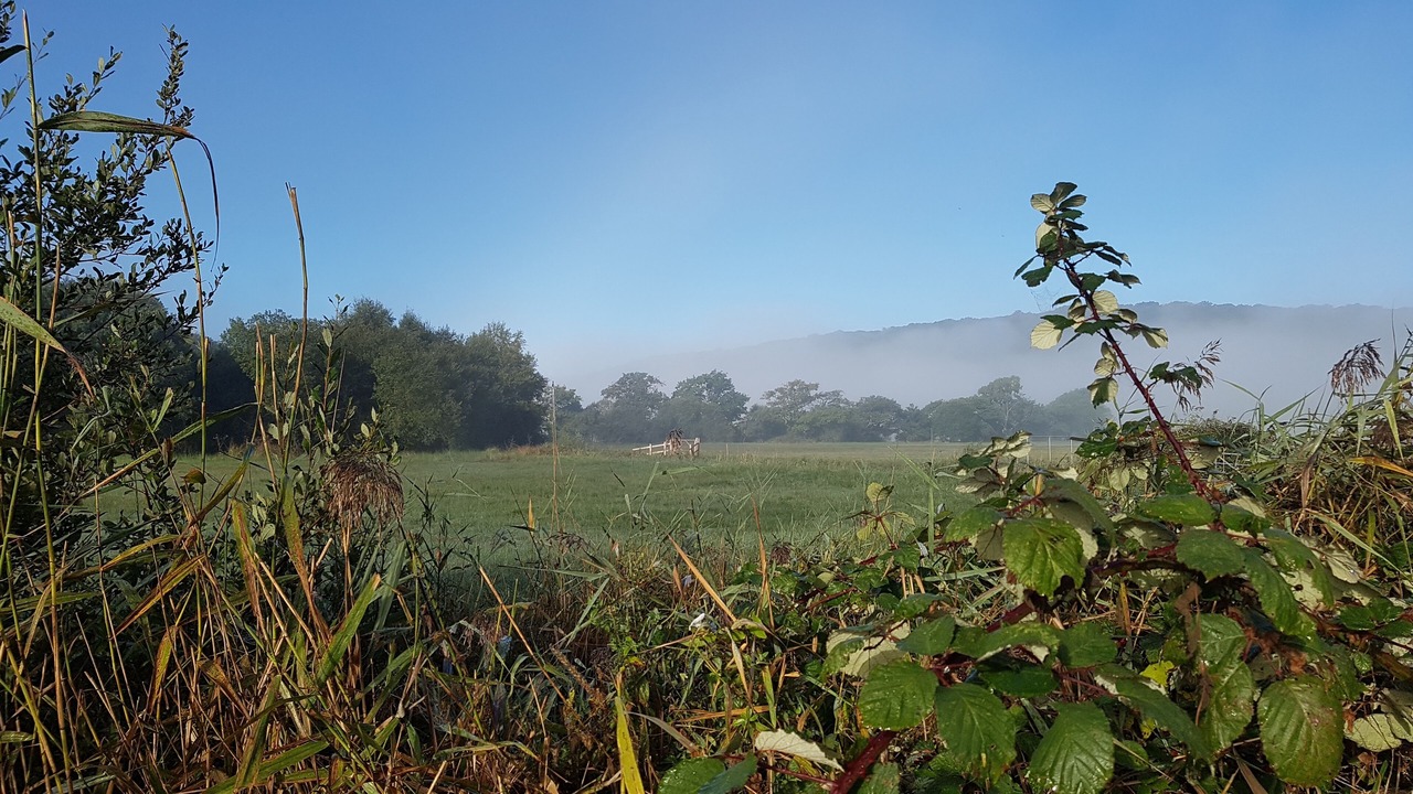 Photo of Others in Tickenham