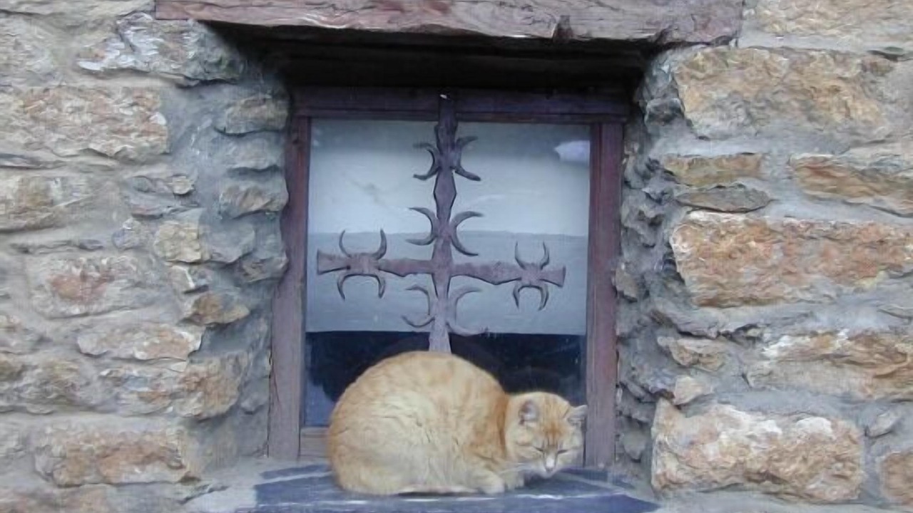 Photo of Outdoor in Sort