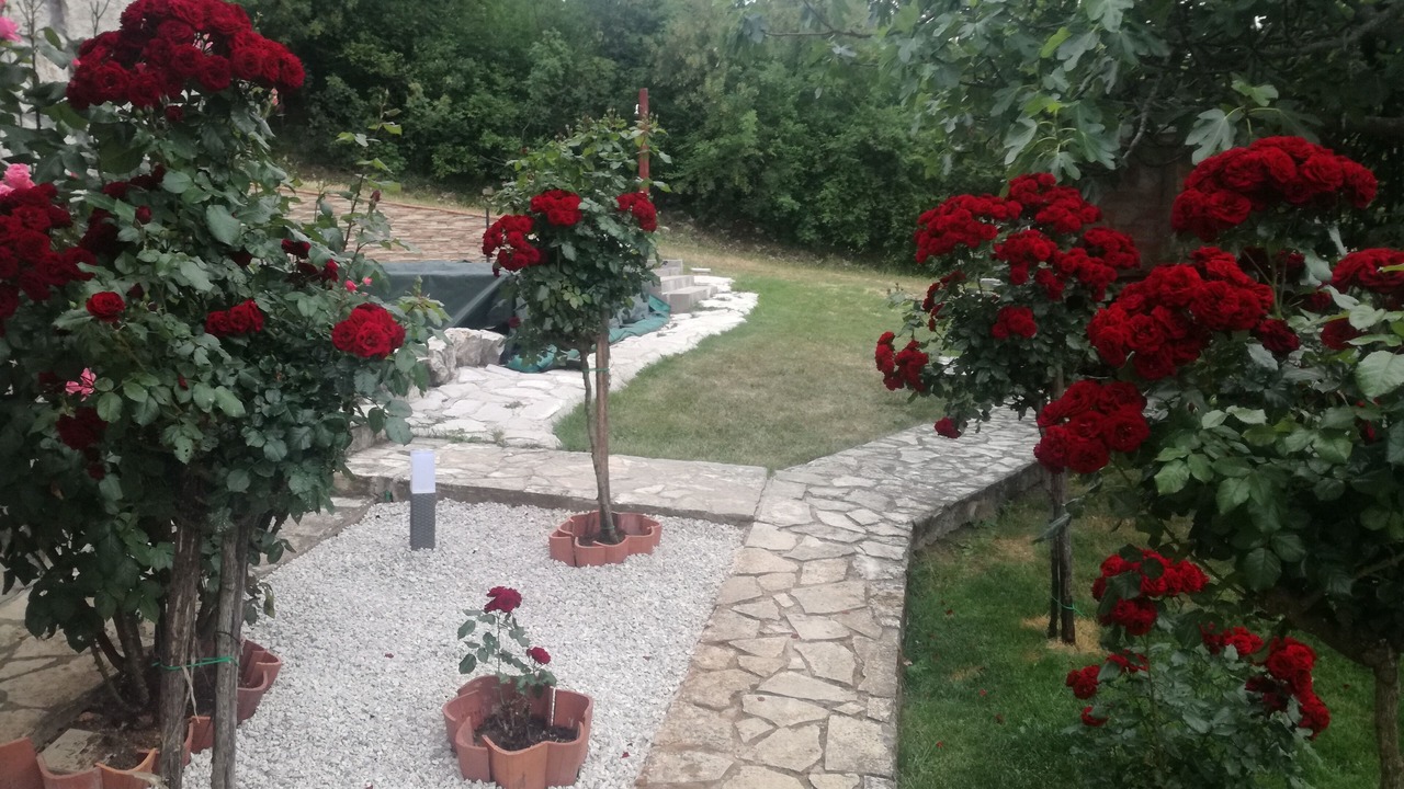 Photo of Outdoor in Ripenda Verbanci