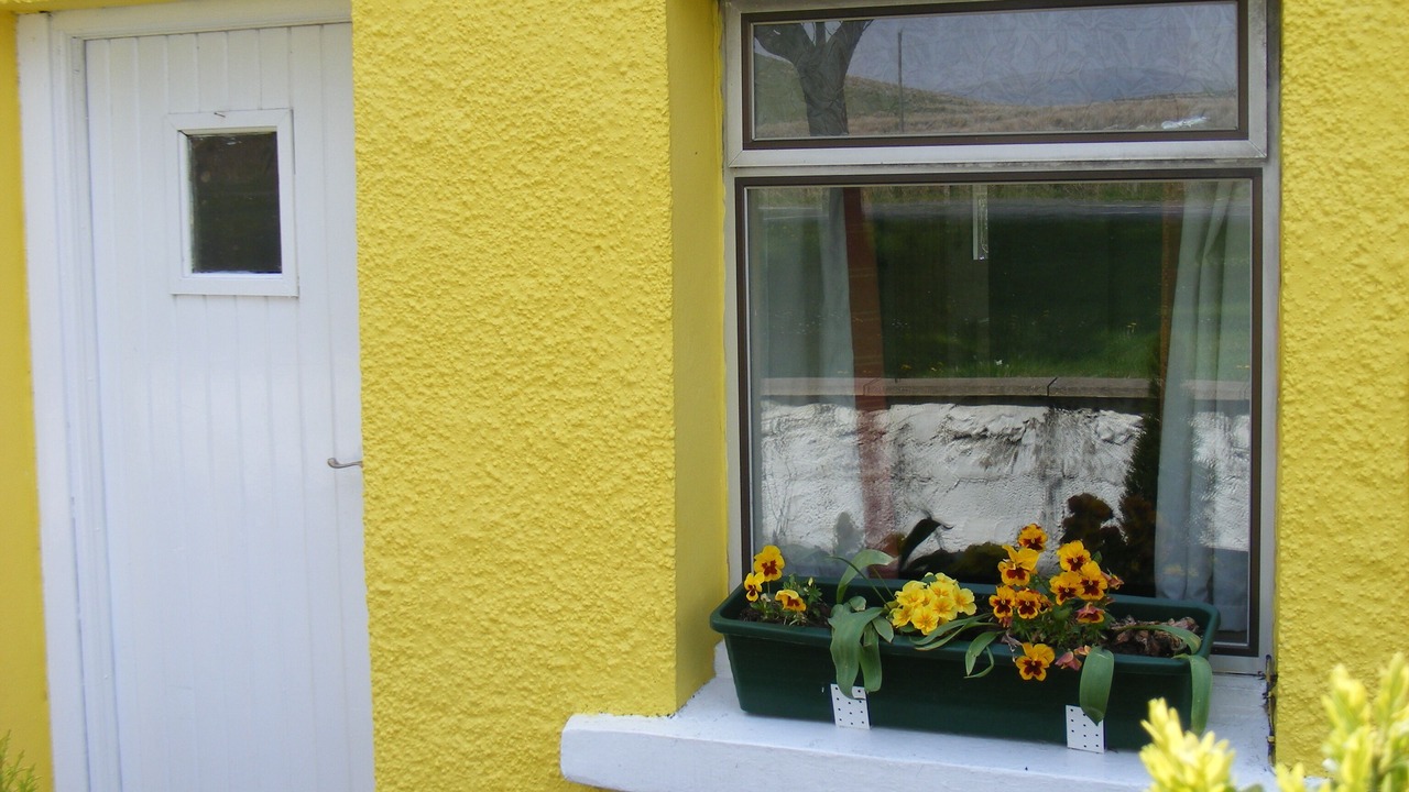 Photo of Outdoor in Ammanford