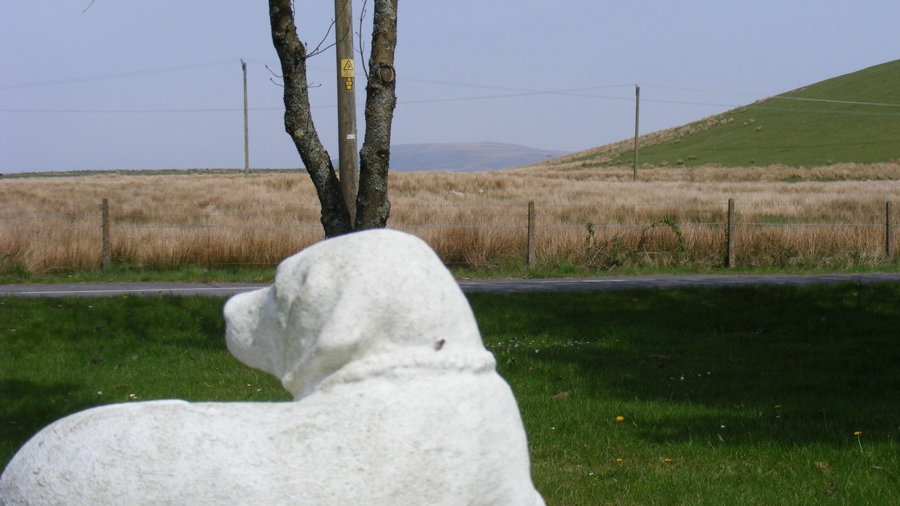 Photo of Others in Ammanford