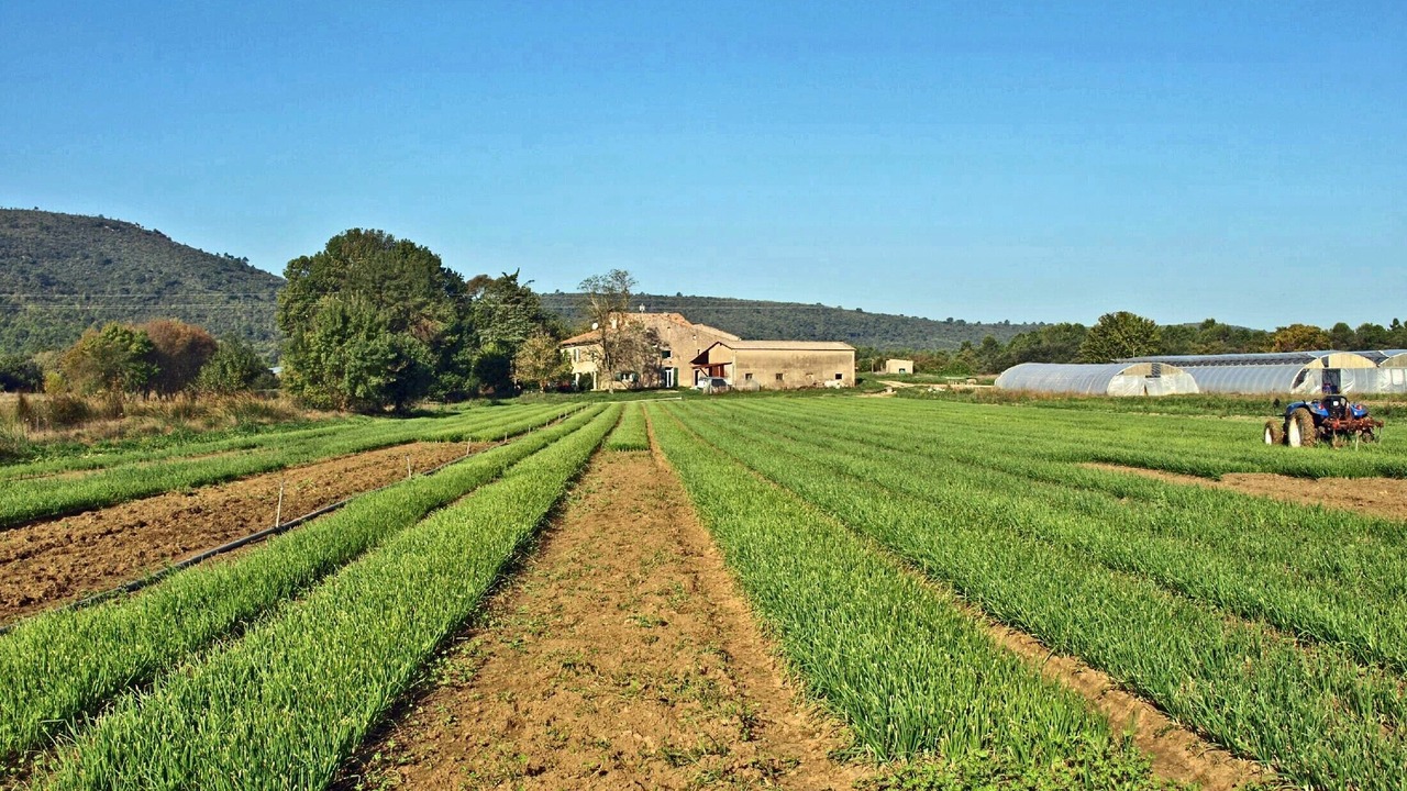 Photo of Outdoor in Fox-Amphoux