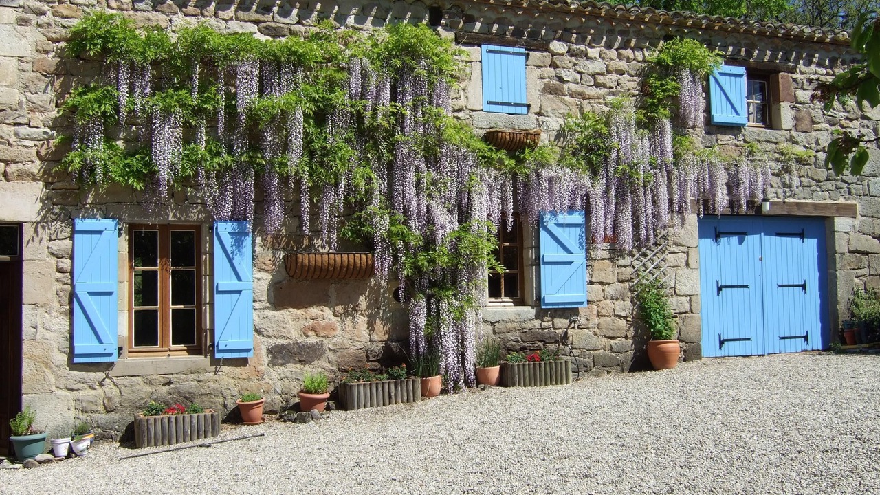 Photo of Outdoor in Penne