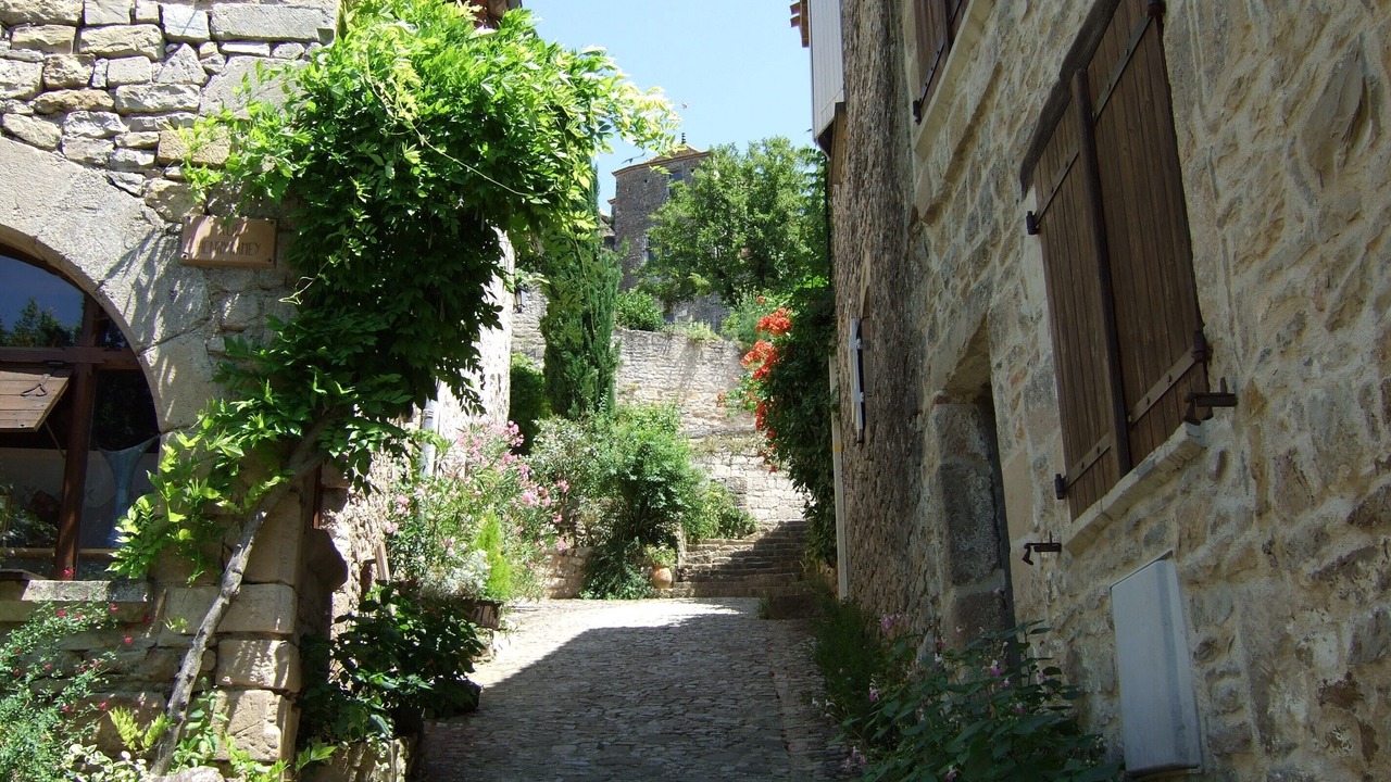 Photo of Others in Penne