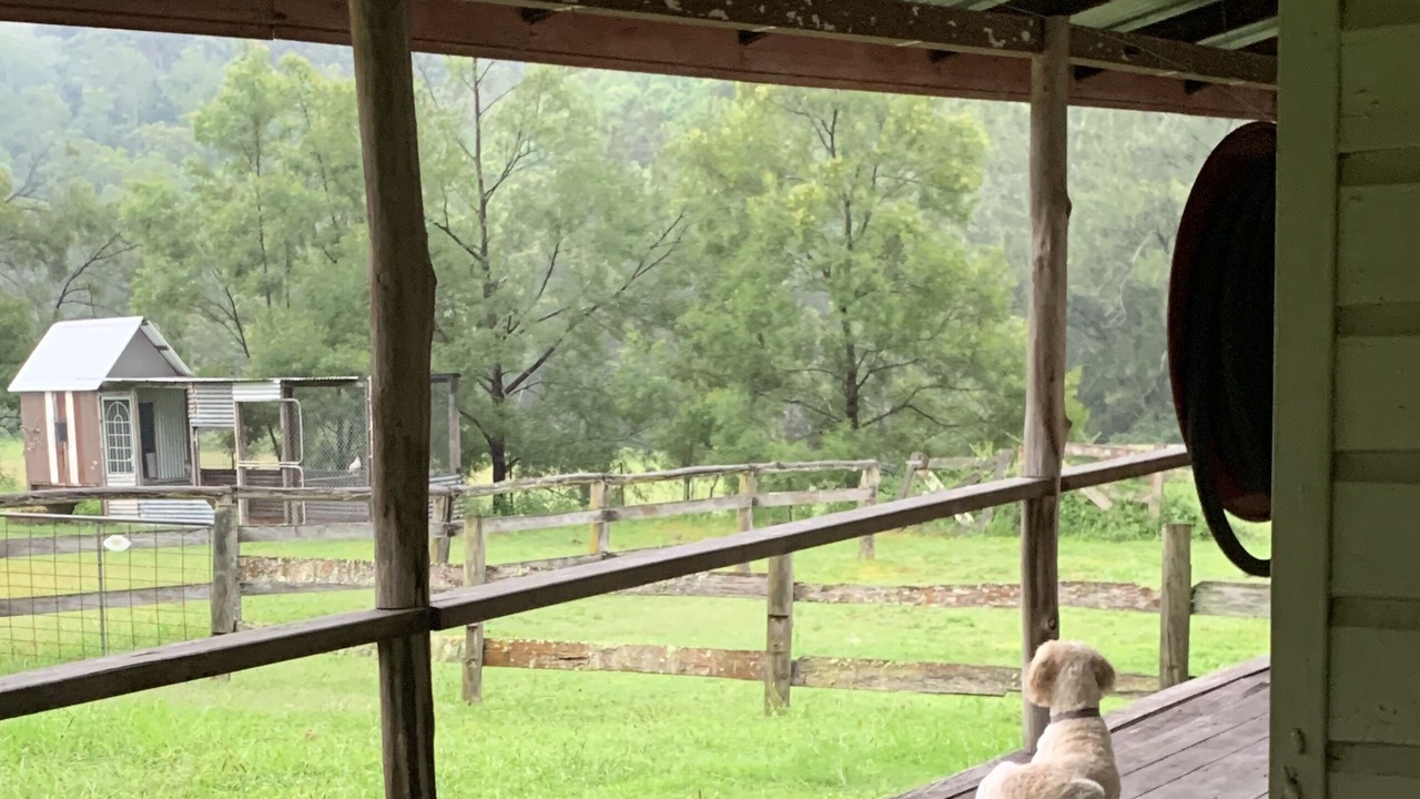 Photo of Outdoor in Wollombi