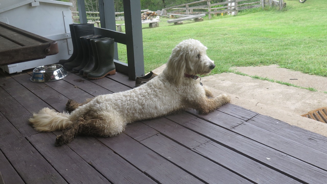 Photo of Outdoor in Wollombi