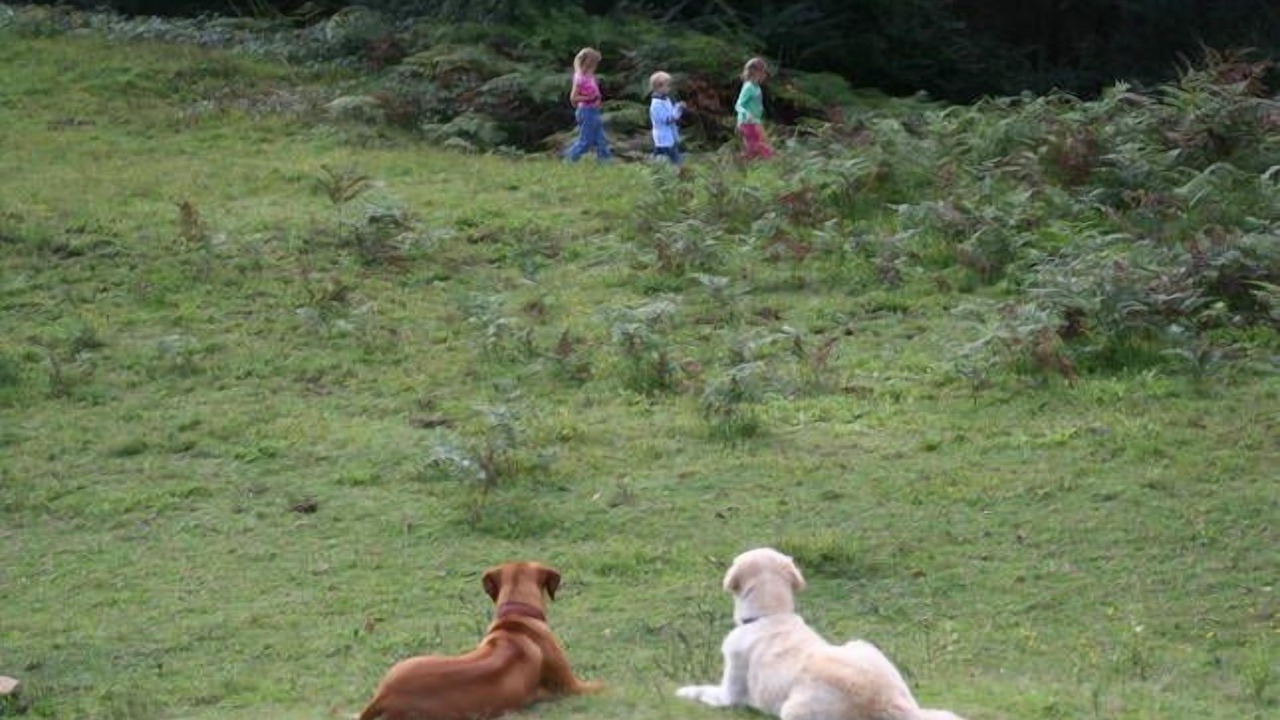 Photo of Others in Wollombi