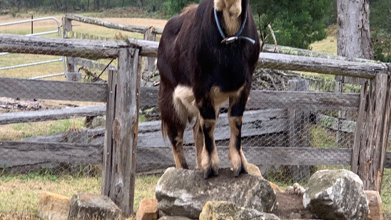 Photo of Outdoor in Wollombi