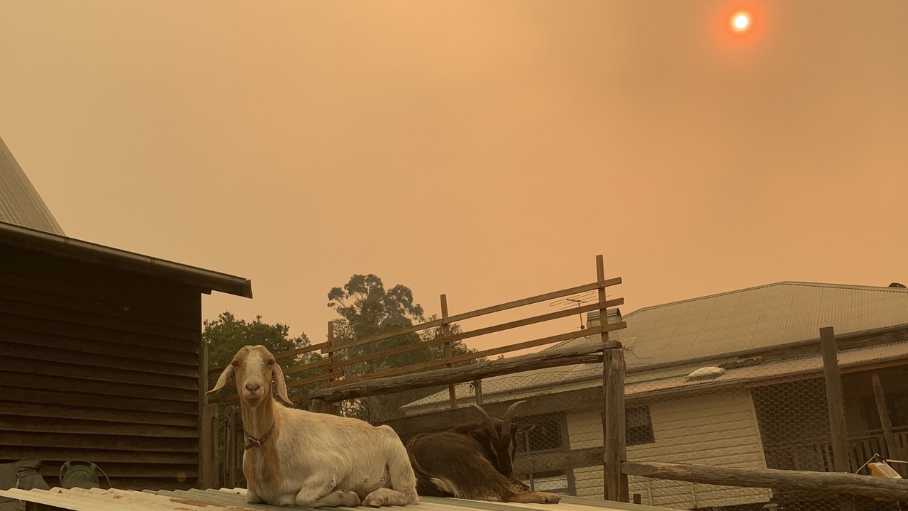 Photo of Others in Wollombi