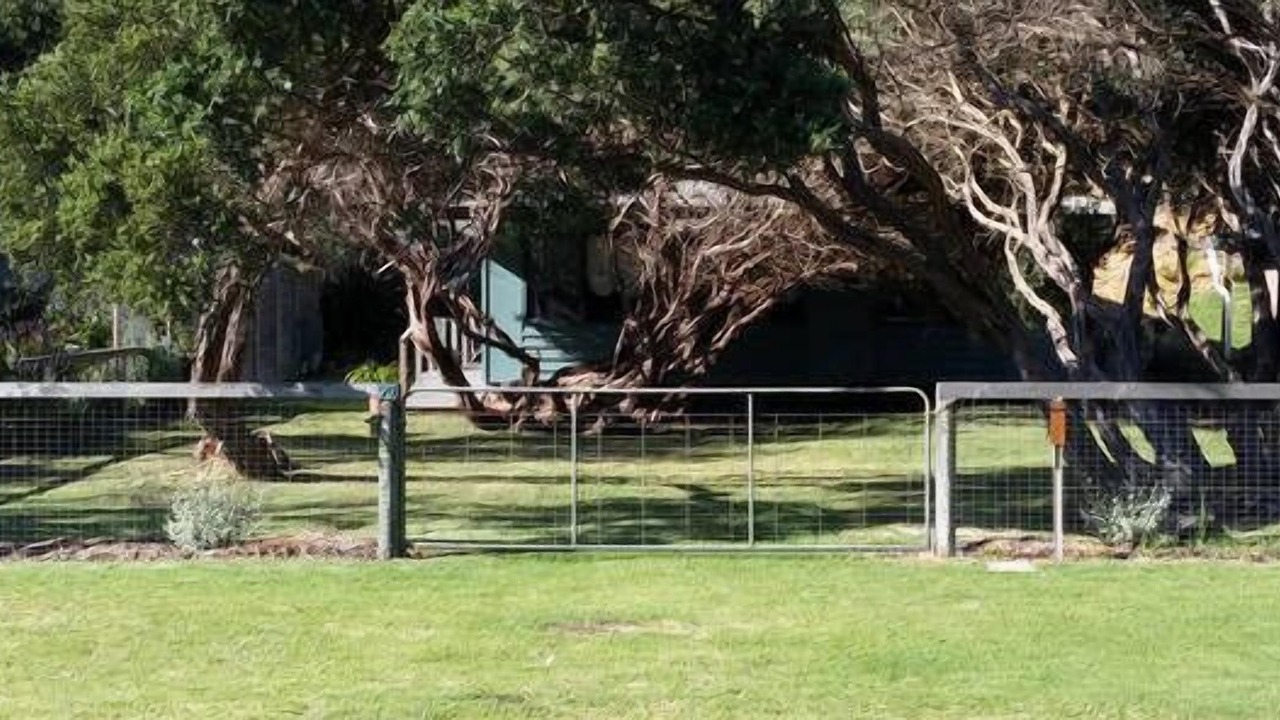 Photo of Outdoor in Sandy Point