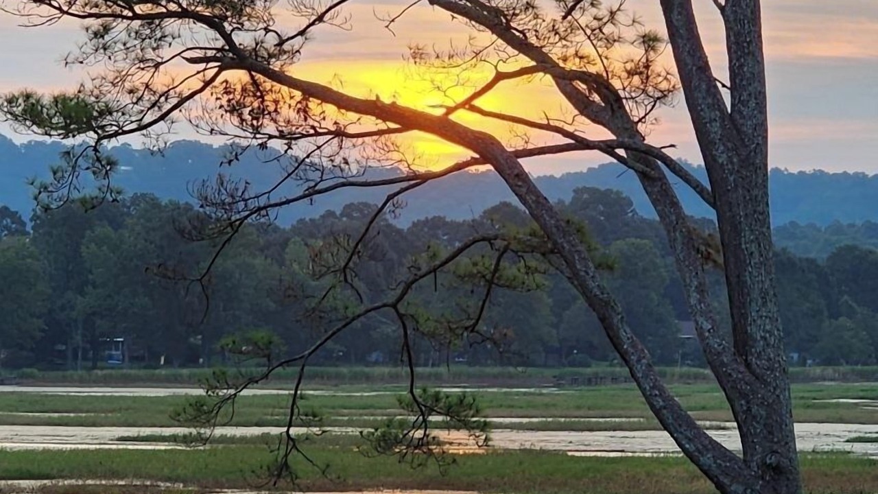 Photo of Outdoor in Guntersville