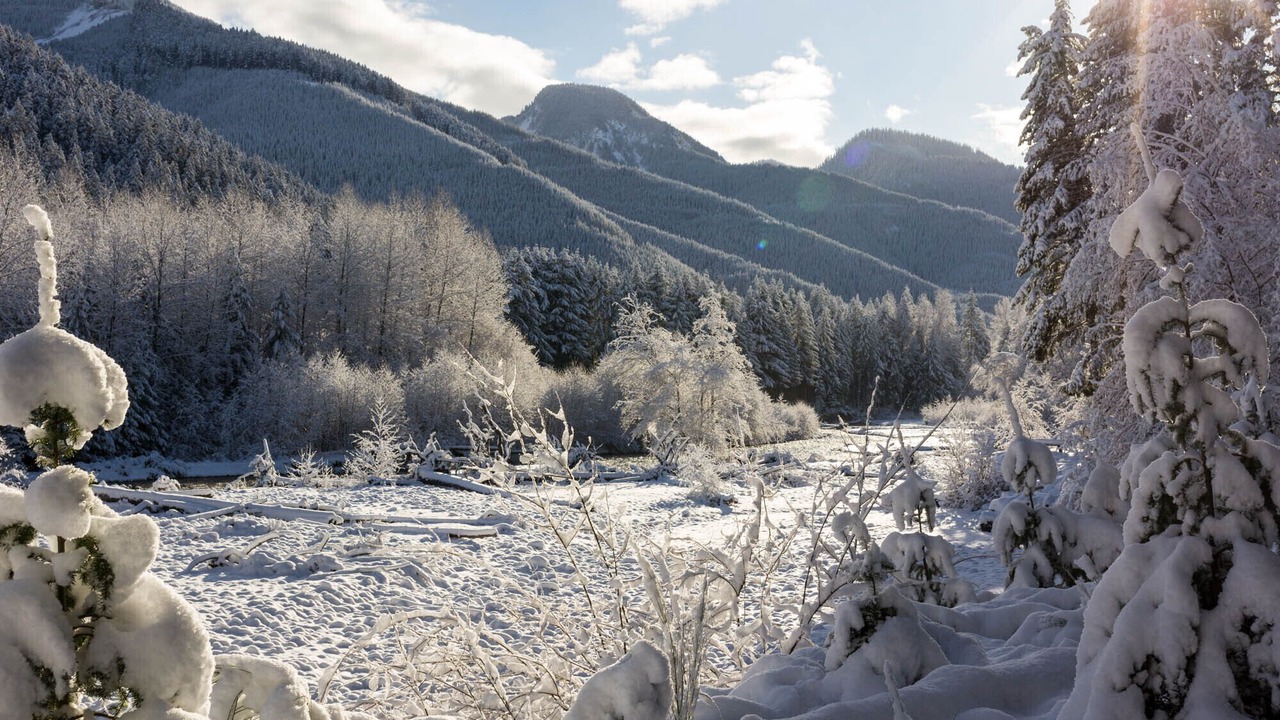 Photo of Others in Enumclaw