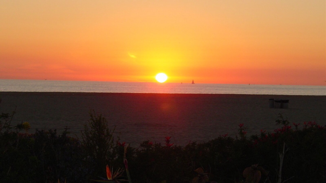 Photo of Others in Sunset Beach
