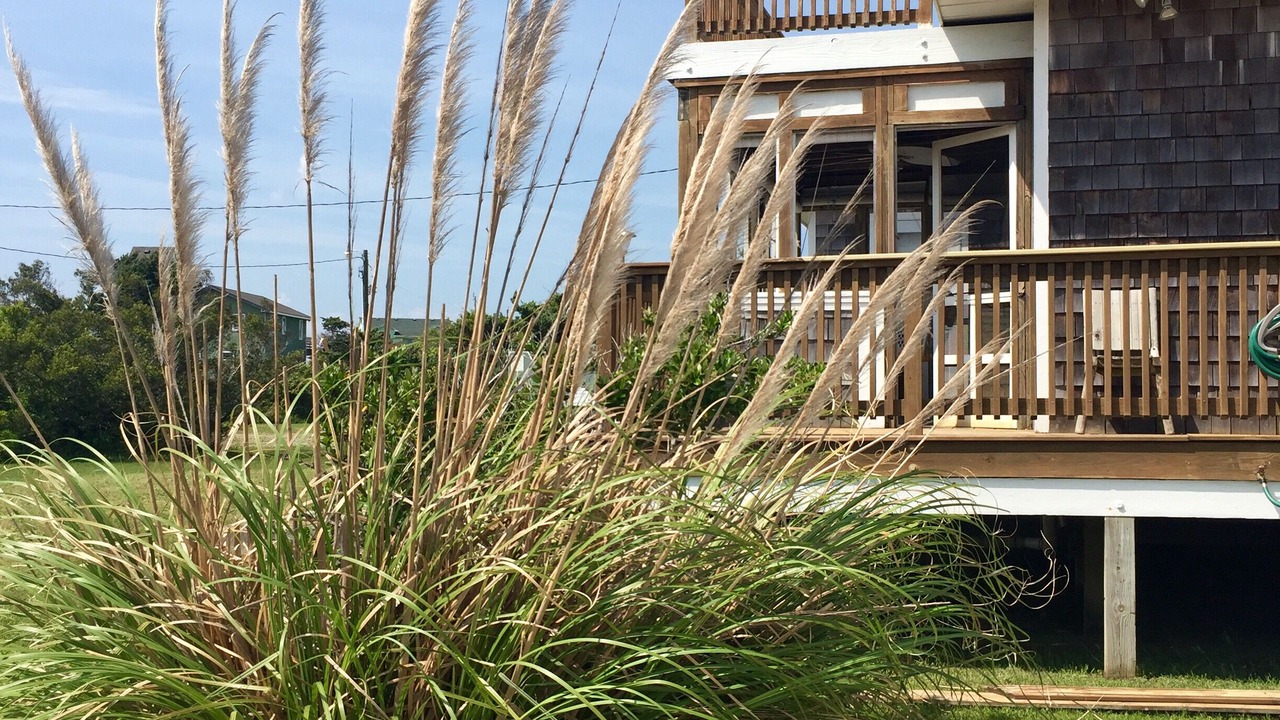 Photo of Outdoor in Rodanthe