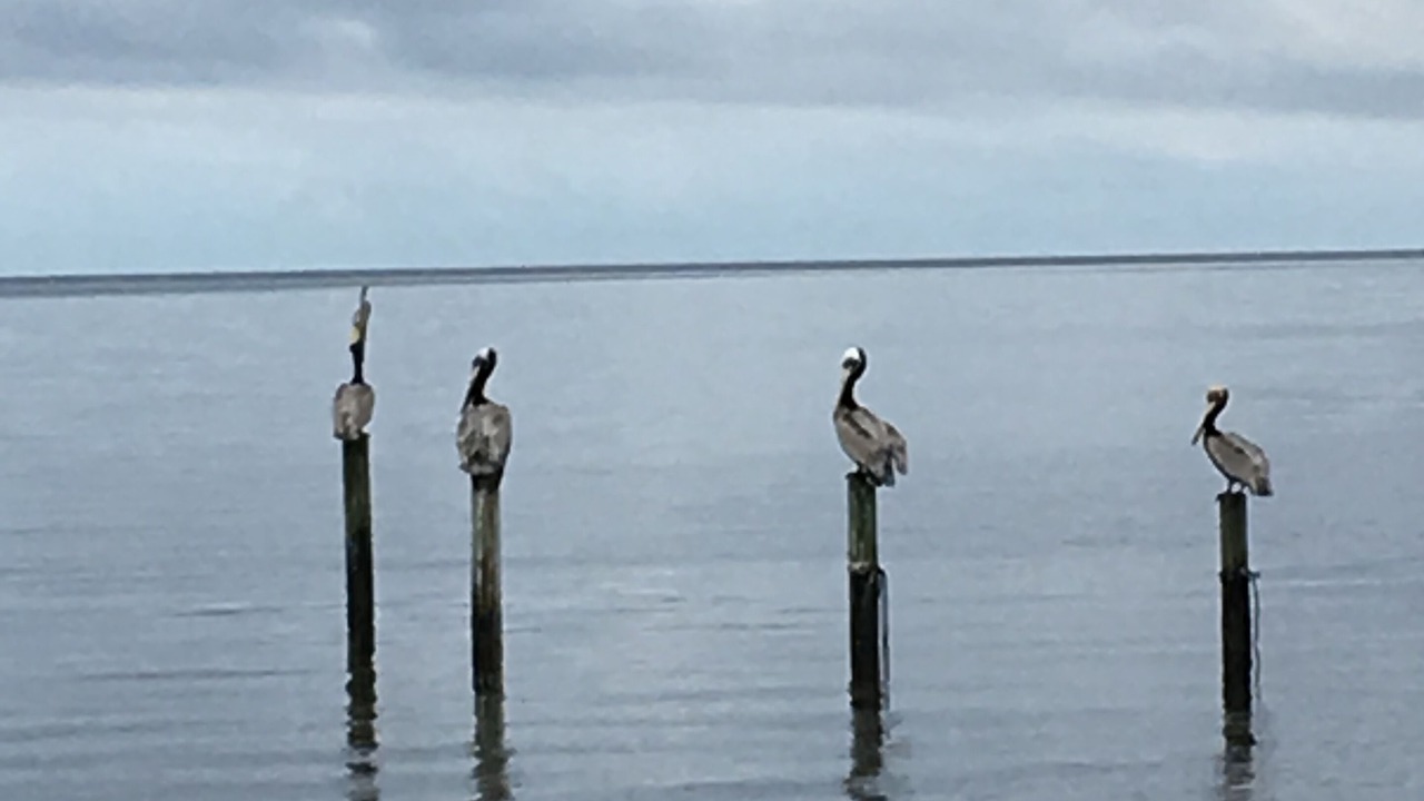 Photo of Outdoor in Rodanthe