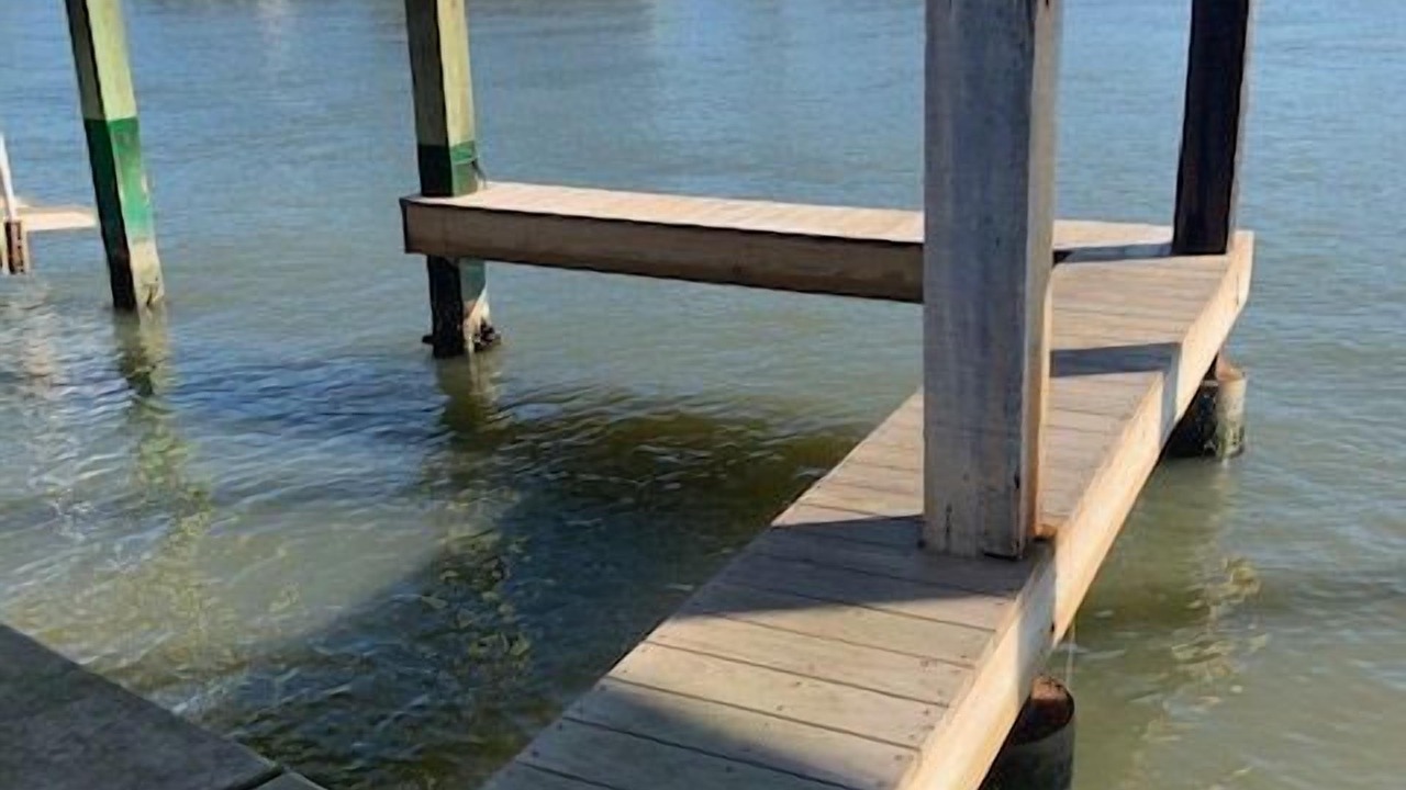 Photo of Others in Jamaica Beach