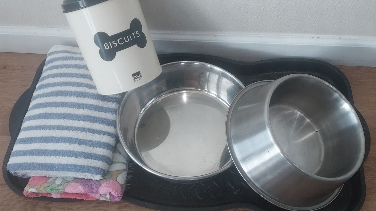 Photo of Kitchen in Grayland