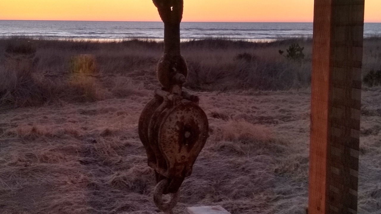 Photo of Others in Grayland